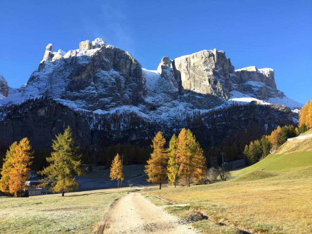 Piz Alpin B&B Кольфоско Экстерьер фото
